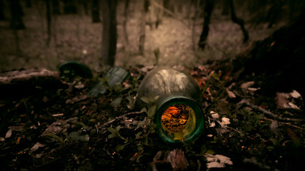 an old bottle in the woods