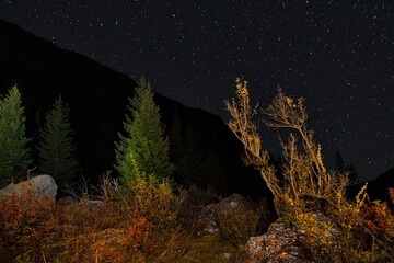Russia. The South Of Western Siberia, The Altai Mountains.  Stone steppes in the valley of the Chuya River near the village of Yodro.