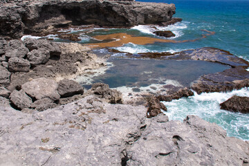 Zoomed out orange patch of sargassum seaweed floating on vibrant turquoise atlantic ocean on the...