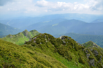 Summer landscape with hills, trails and peaks on the horizon Morning in Marmarosy ridge, Carpathian Mountains. Ukraine.

