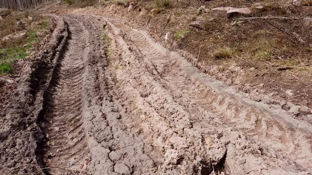 Waldweg nach Holzernte im Wirtschaftswald, Bodenverdichtung, Erosion, Abholzung, Waldumbau, Klimaver&auml;nderung, Gimbal, Schwenk