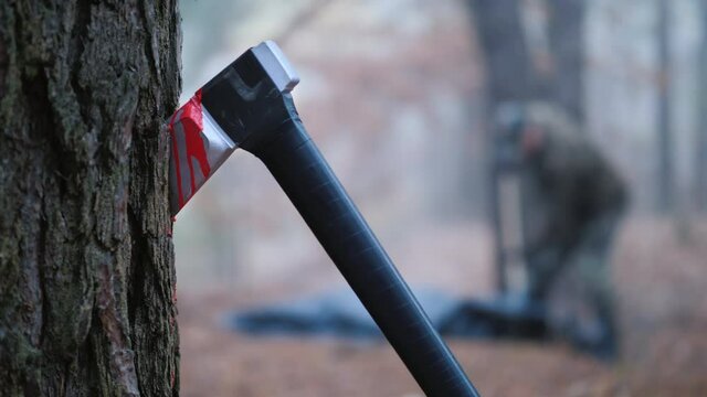 Criminal burycorpse in woods, bloodied axe in foreground