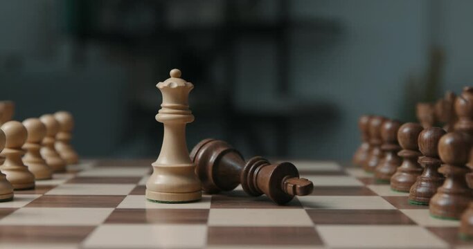 Chess game: the black king is checkmated