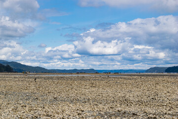beach and sky