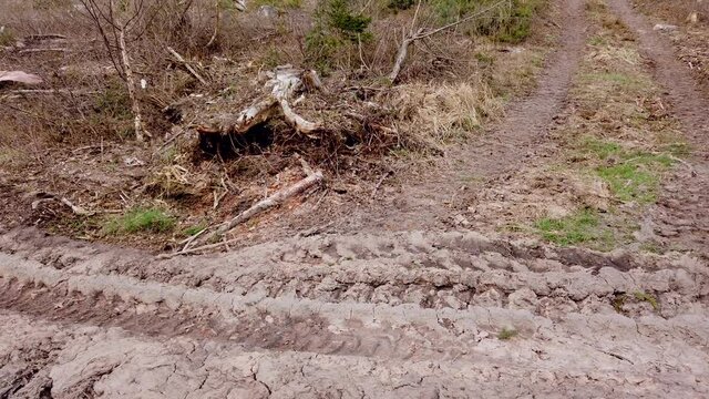 Waldweg nach Holzernte im Wirtschaftswald, Bodenverdichtung, Erosion, Abholzung, Waldumbau, Klimaver&auml;nderung, Gimbal, Schwenk