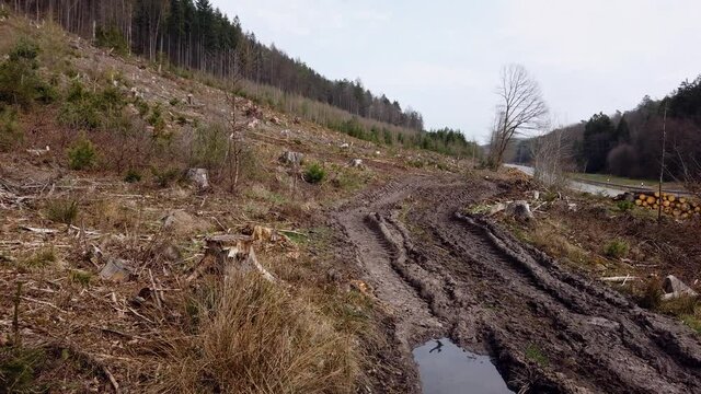 Waldweg nach Holzernte im Wirtschaftswald, Bodenverdichtung, Erosion, Abholzung, Waldumbau, Klimaver&auml;nderung, Gimbal, Schwenk