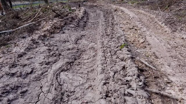 Waldweg nach Holzernte im Wirtschaftswald, Bodenverdichtung, Erosion, Abholzung, Waldumbau, Klimaver&auml;nderung, Gimbal
