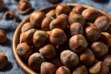 Raw Organic Unshelled Hazelnuts