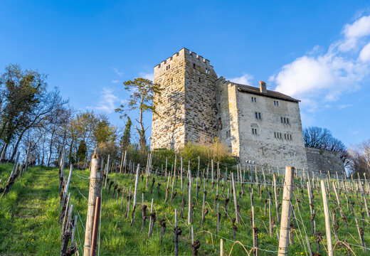 Habsburg Castle in canton Aargau, Switzeland, is the original seat of the House of Habsburg, which became one of the leading imperial and royal dynasties in Europe.