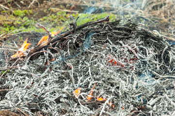 The burning grass. Spring fires. Selective focus