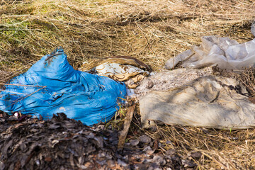 Garbage dump in the woods, forest. Ecological problems