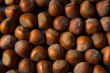 Raw Organic Unshelled Hazelnuts