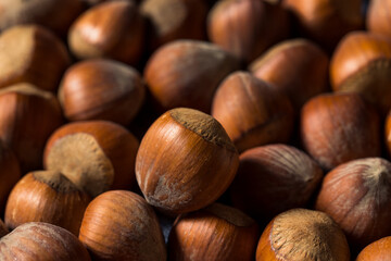 Raw Organic Unshelled Hazelnuts