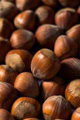 Raw Organic Unshelled Hazelnuts