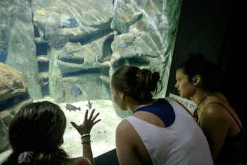 Meninas olhando aquario gigante e com peixe no fundo.