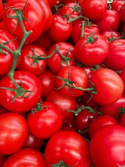 red tomatoes background