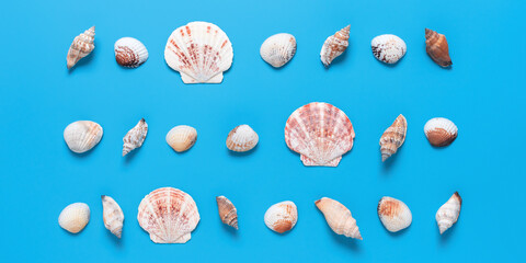 Collection of seashells on a blue background. Banner. Beautiful summer beach background. Top view, flat lay.