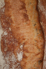 Close up bread texture. Freshly backed bread