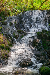 Portland Japanese Gardens