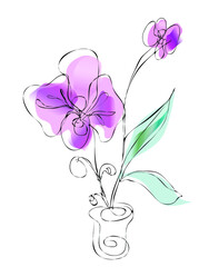 Orchids. Drawings flowers with linear art on a white background and  watercolor design elements. Vector hand illustration. One line