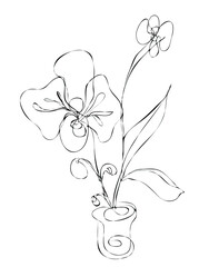 Orchids. Drawings flowers with linear art on a white background and  watercolor design elements. Vector hand illustration. One line
