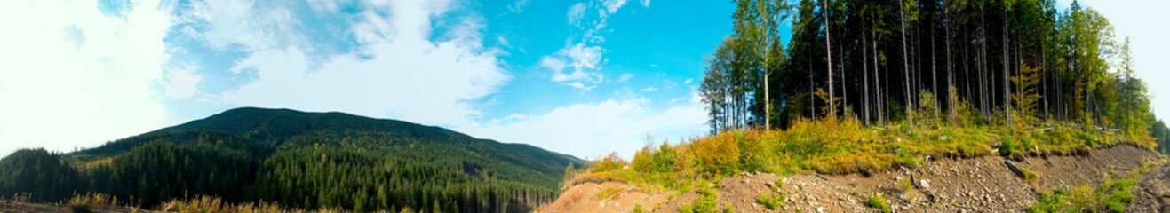 Fototapeta premium Beautiful autumn panorama of yellow and red trees against the background of big mountains