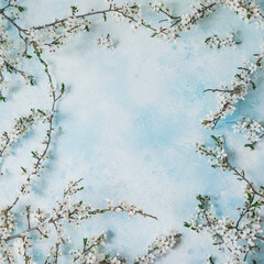 Floral frame with blooming spring white flowers on blue background. Flat lay, top view. Spring background.