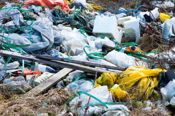 Garbage dump in the woods, forest. Ecological problems