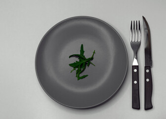 a little arugula on a gray plate with a fork and knife