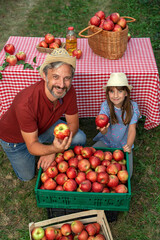 Smiling Farmer and His Little Daughter With A Crate of Appetizing Red Apples in Sunny Orchard