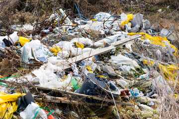 Garbage dump in the woods, forest. Ecological problems