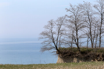 Erosion of farm field into lake Ontario by steep cliffs. Soild and trees fall into the lake. Beautiful sunny day in spring
