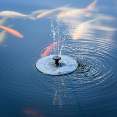 A flock of colorful koi carps by the surface and a solar fountain.
