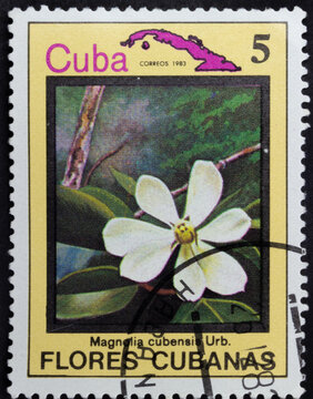 Postage stamp of 'Magnolia cubensis' printed in Republic of Cuba. Series 'Flowers of Cuba - Flores Cubanas', 1983