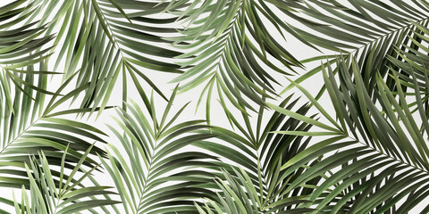 Fototapeta na wymiar Green palm leaves on white abstract summer background 3D Rendering, 3D Illustration