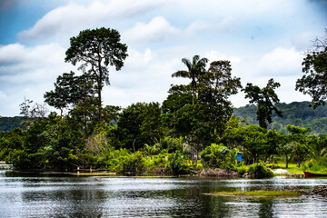 Floresta refletindo no rio ao fundo o c&eacute;u co nuvens brancas. 