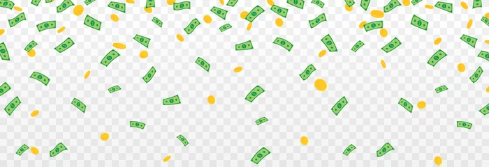 Fotobehang Vector money is falling from the sky. Money png, coins, bills png. Explosion of money on isolated transparent background. © Vitaliy