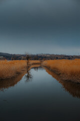View of a river with reflections of reeds around the edges and a tree without leaves and farms on the horizon
