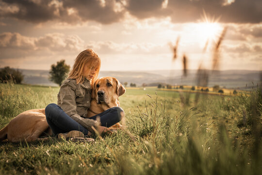 Beste Freunde - ein Kind lehnt sich an seinen Hund, einen Broholmer, an und beide genießen in der Natur den Sonnenuntergang an einem Spätsommertag