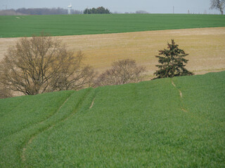 Das Dorf Darup in den Baumbergen