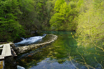 Wiosna krystalicznie czysta rzeka górska w lesie