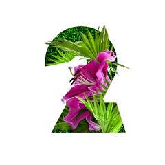 floral botanical alphabet. number 2 with plants and flowers decoration.
