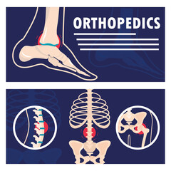 orthopedics human anatomy