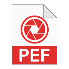 Modern flat design of PEF file icon for web