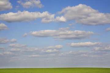 Fototapeta premium Landscape near Petkovichi village. Belarus