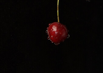 Red cherry berry on a dark background with water droplets