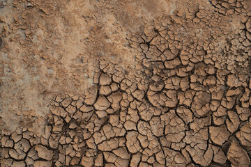 Dry Cracked Soil