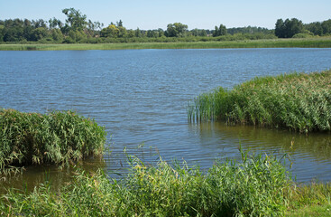 Biskupin lake in Biskupin. Poland © Andrey Shevchenko