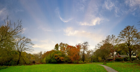 Obraz premium PARKLAND IN THE MORNING