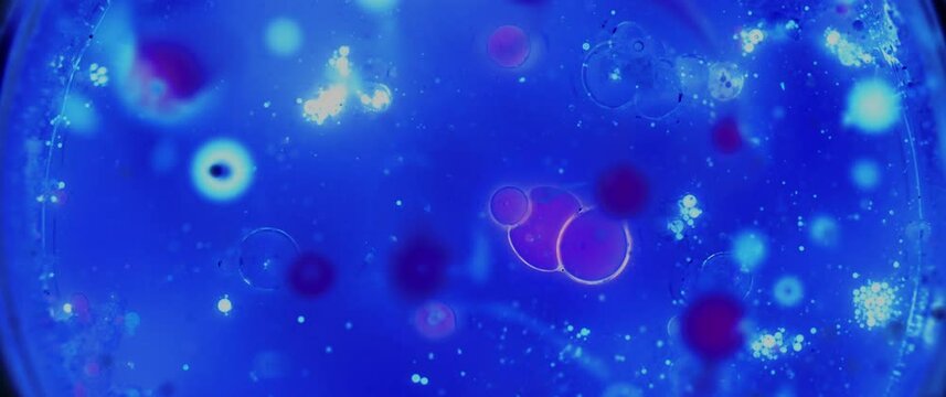 Macro Textures with Vibrant Neon Color Palette. Abstract Background Made with Oil Mixed with Dye, Ink, and Paint.